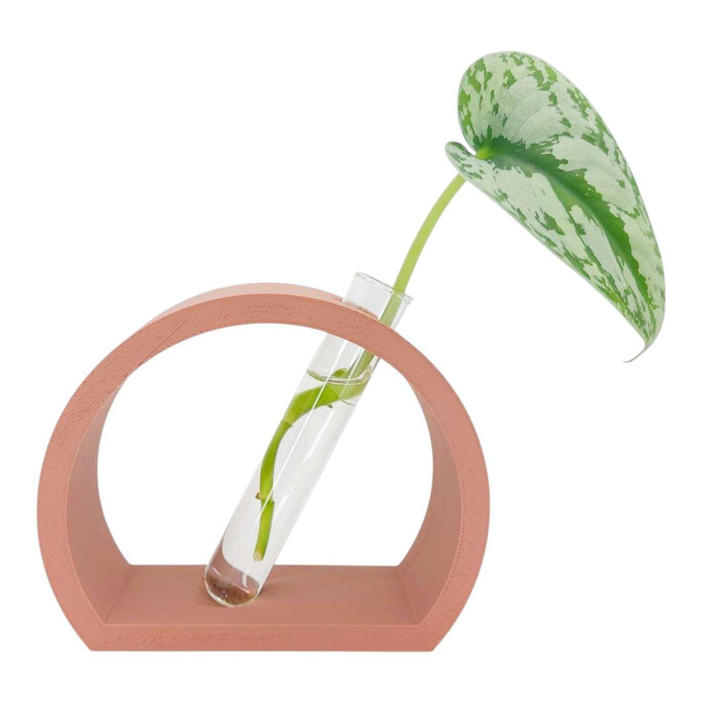 Vase - Half Moon Propagation Station (Terracotta) by Rosebud Homegoods