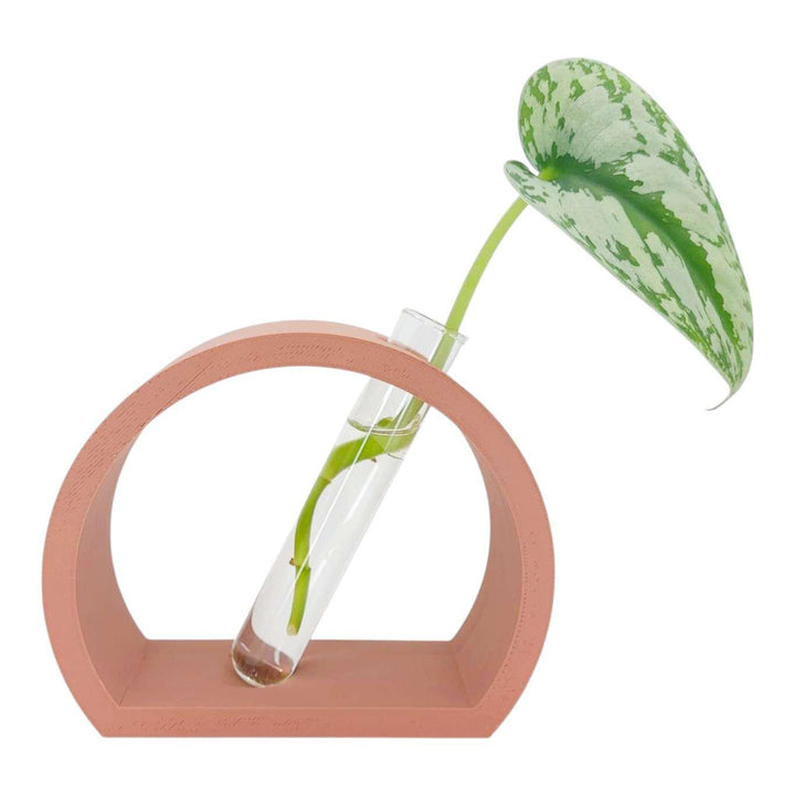 Vase - Half Moon Propagation Station (Terracotta) by Rosebud Homegoods