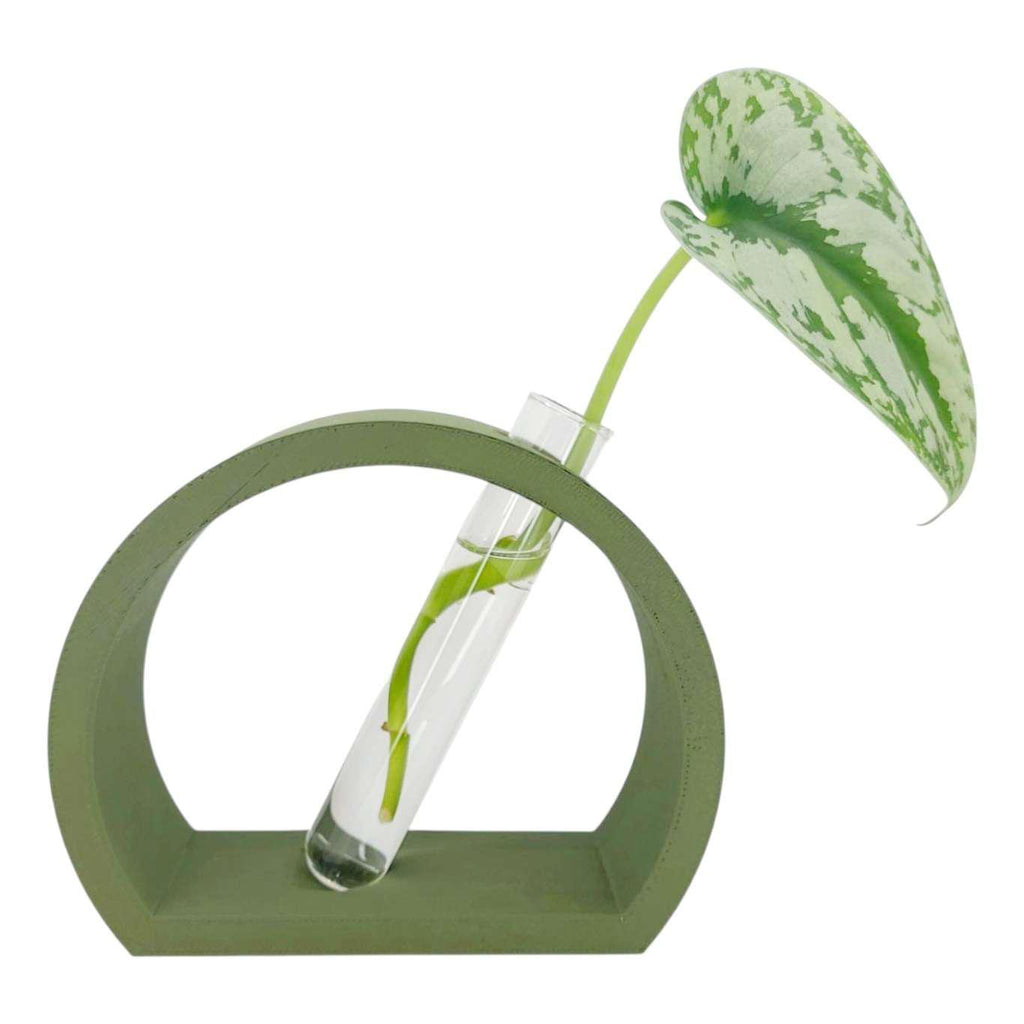 Vase - Half Moon Propagation Station (Green) by Rosebud Homegoods