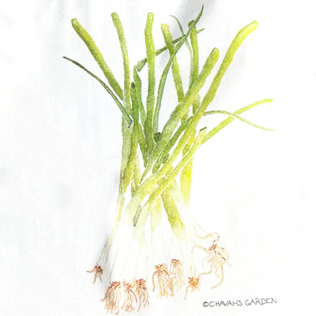 Tea Towel - Green Onions by Chavah's Garden