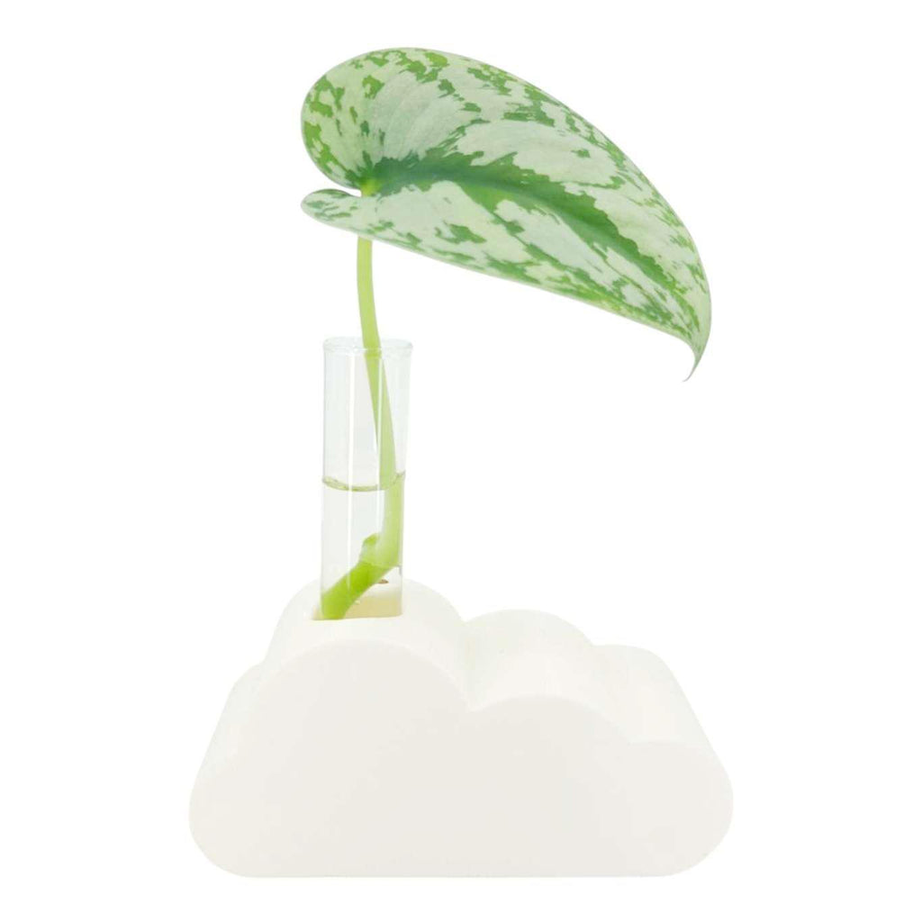 Vase - Cloud Propagation Station (White) by Rosebud Homegoods