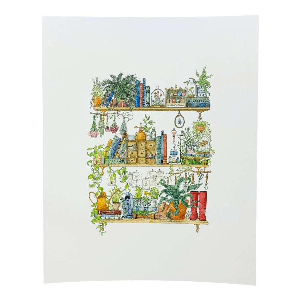 Art Print - 8x10 - The Botanist's Shelves by Lizzy Gass