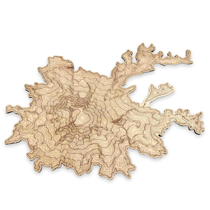 Wall Art - Mt. Rainier Topography by SML