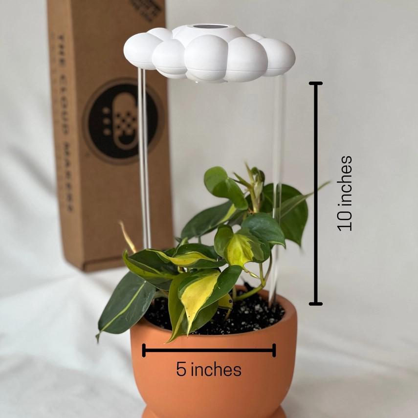 Bundle - White Cloud Plant Waterer with Choice of Charm by The Cloud Makers
