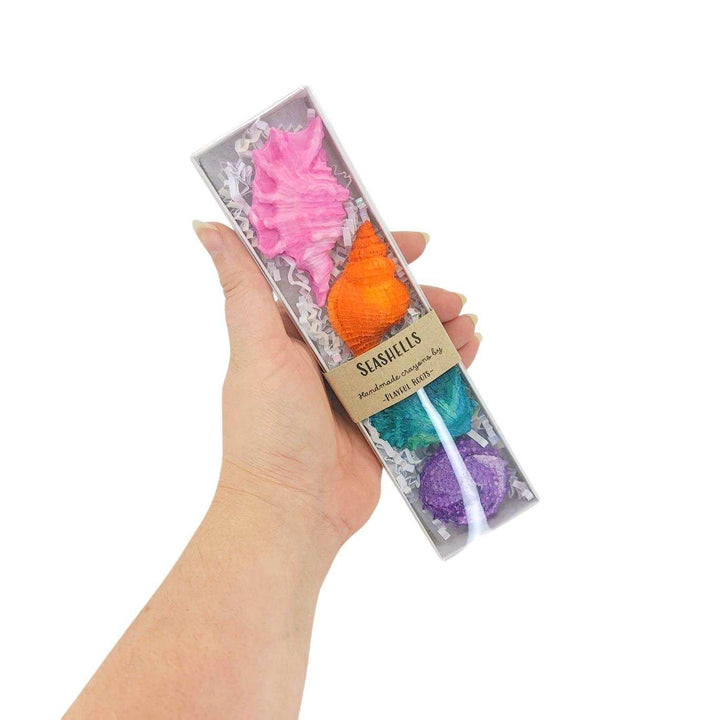 Crayons - Seashells (set of 4) by Playful Roots