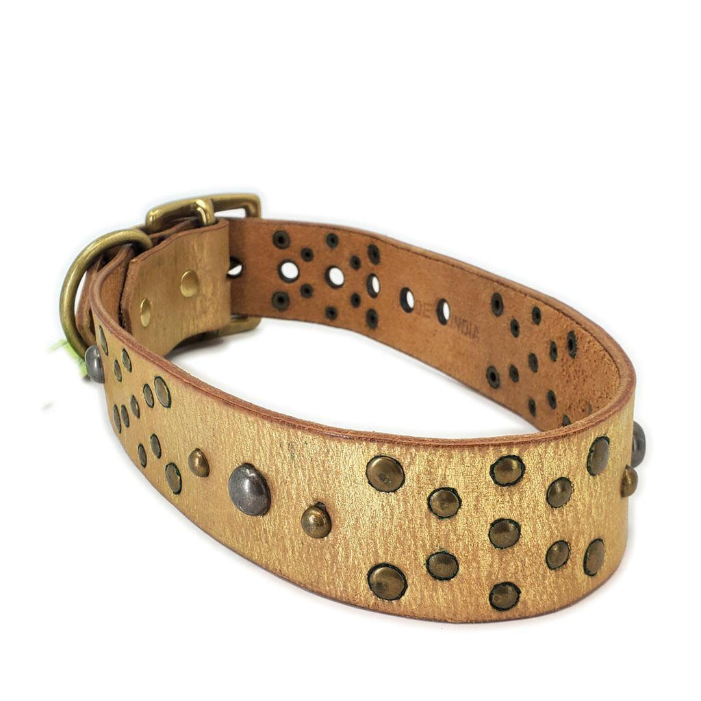 Dog Collar - M-L - Gold Studs by Greenbelts