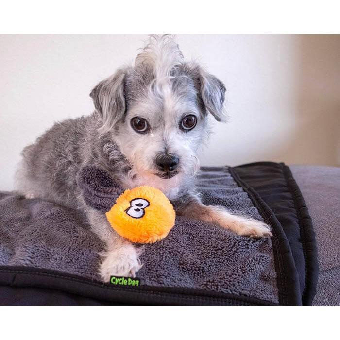 Dog Toys - Set of 3 - Duraplush Puppy Pack by Cycle Dog