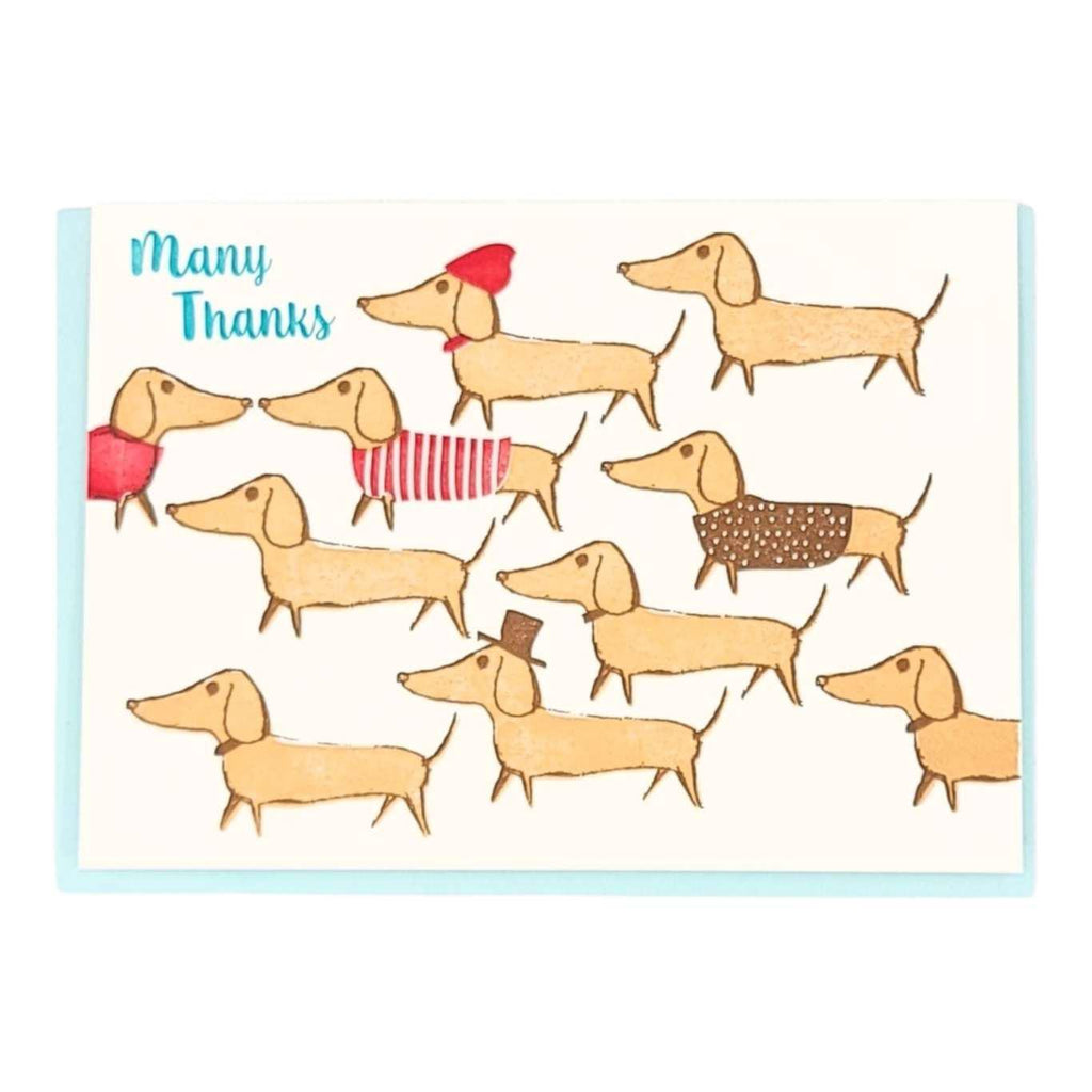 Card - Thank You - Dachshunds Many Thanks by Ilee Papergoods