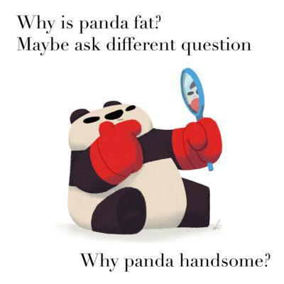 Book 3 - WHY is Panda Fat? (Hardcover or Softcover) by Punching Pandas