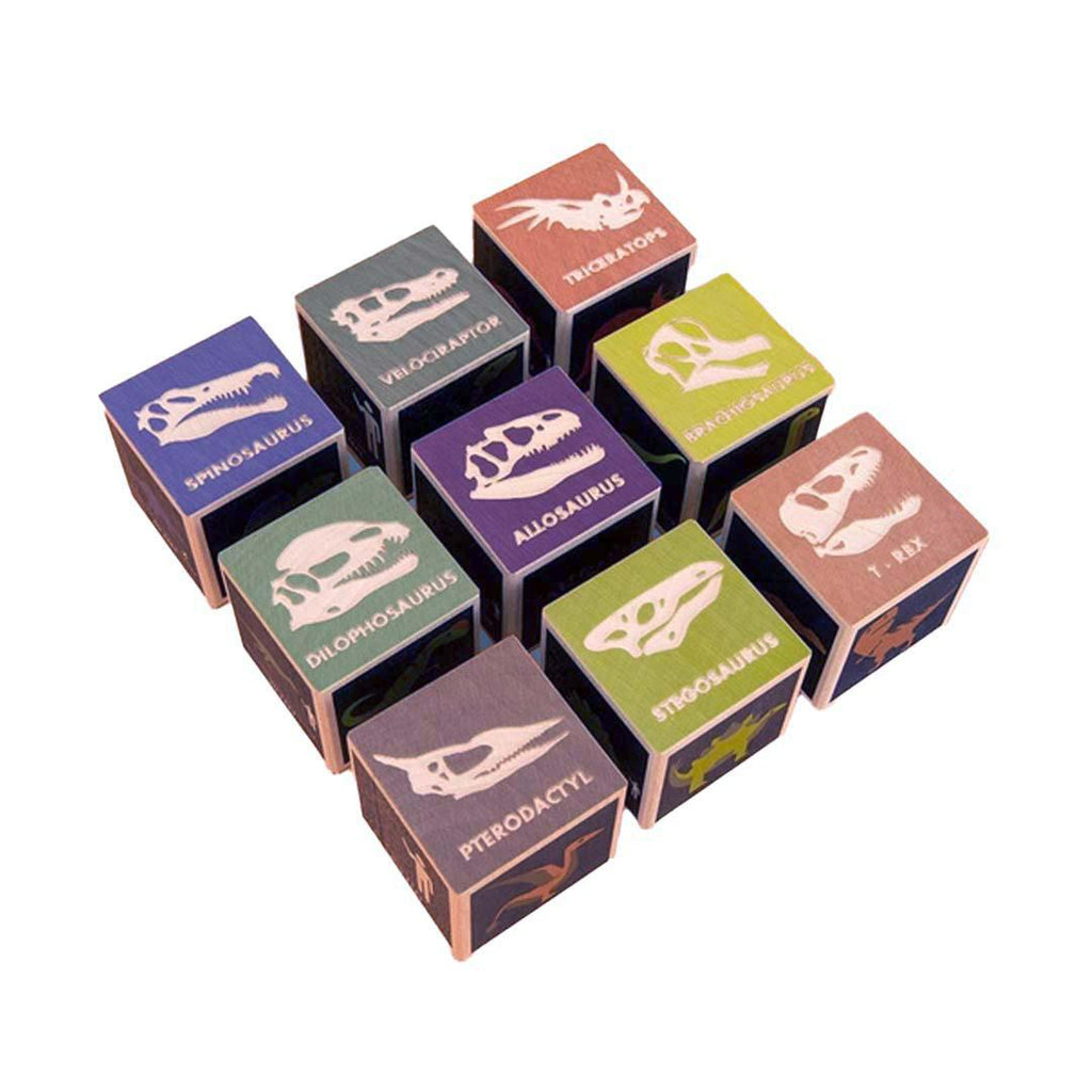 Blocks - Dinosaurs (Set of 9) by Uncle Goose