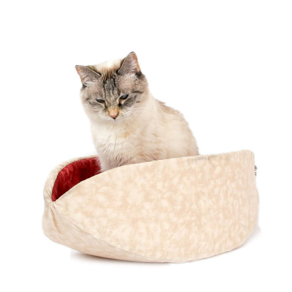 Regular The Cat Canoe - Ivory with Wine Red Lining by The Cat Ball