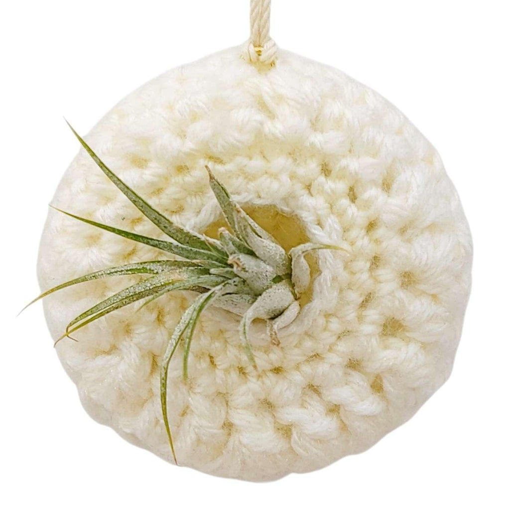 Ornament - Yarnicle Pod (Cream) by World of Whimm