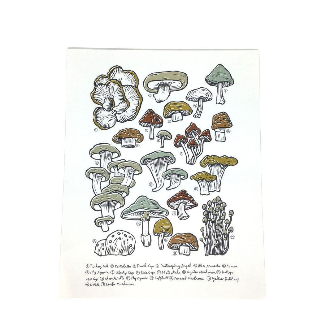 Print - Mushroom and Fungi Wall Art by Root and Branch Paper Co.