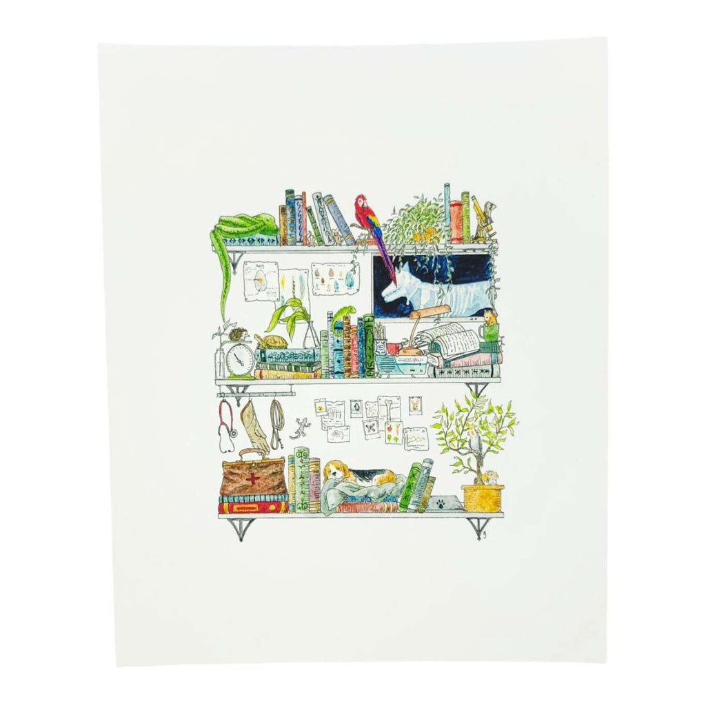 Art Print - 8x10 - The Veterinarian's Shelves by Lizzy Gass