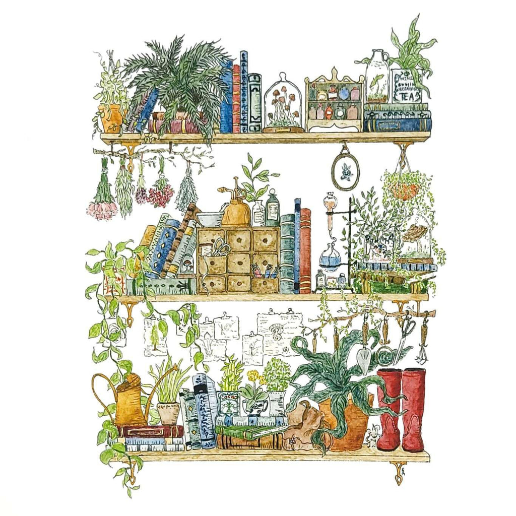 Art Print - 8x10 - The Botanist's Shelves by Lizzy Gass
