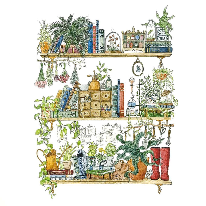 Art Print - 8x10 - The Botanist's Shelves by Lizzy Gass