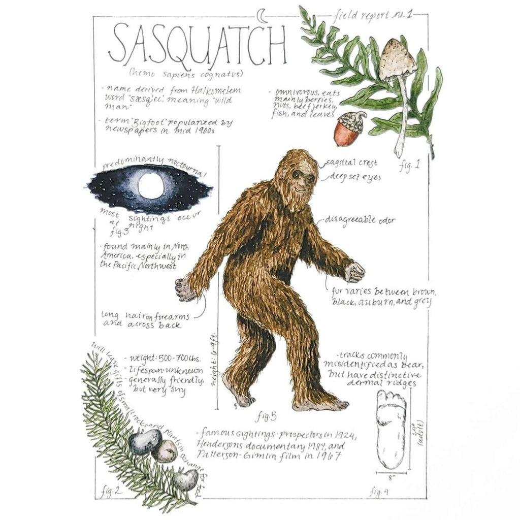Art Print - 8x10 - Sasquatch Bigfoot Field Notes by Lizzy Gass