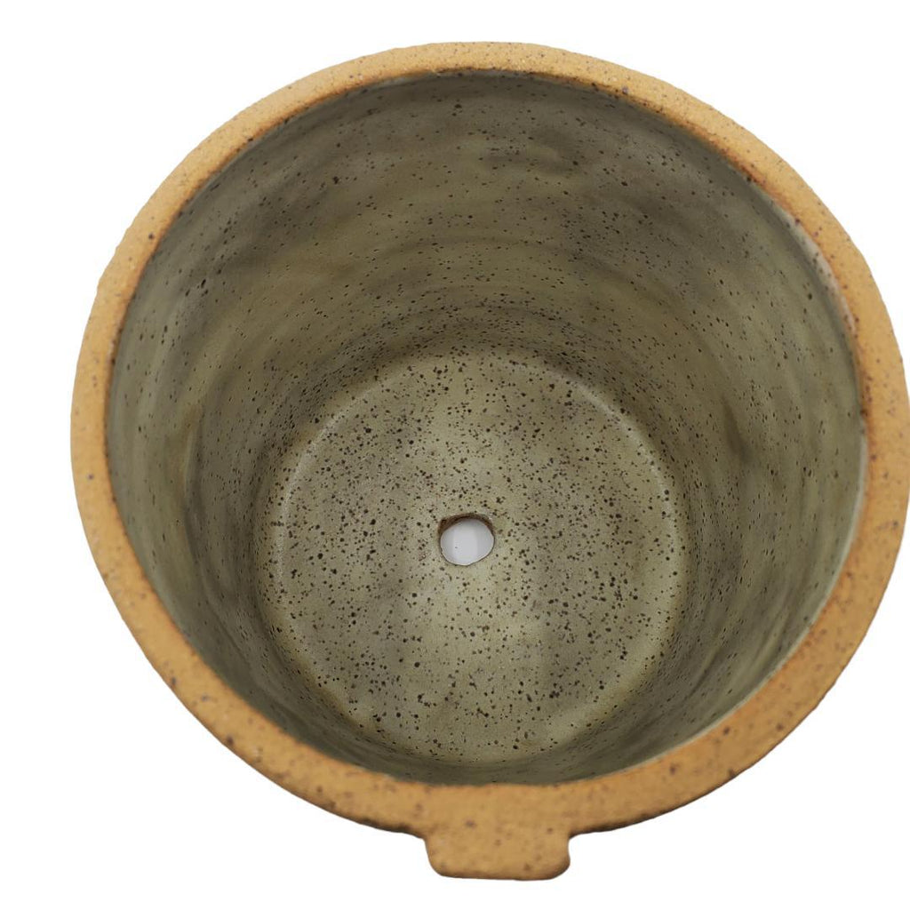 Friendly Pot - XL - Sage with Scalloped Saucer (2 piece set) by Kathy Manzella Ceramics