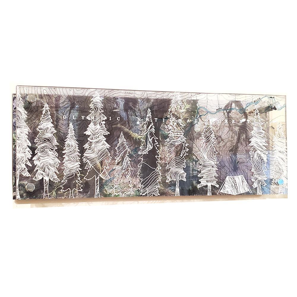 Wall Art - 16x6in - Trees and Tent Hoh Rain Forest Floating Frame Map by Modern Terrain Collection