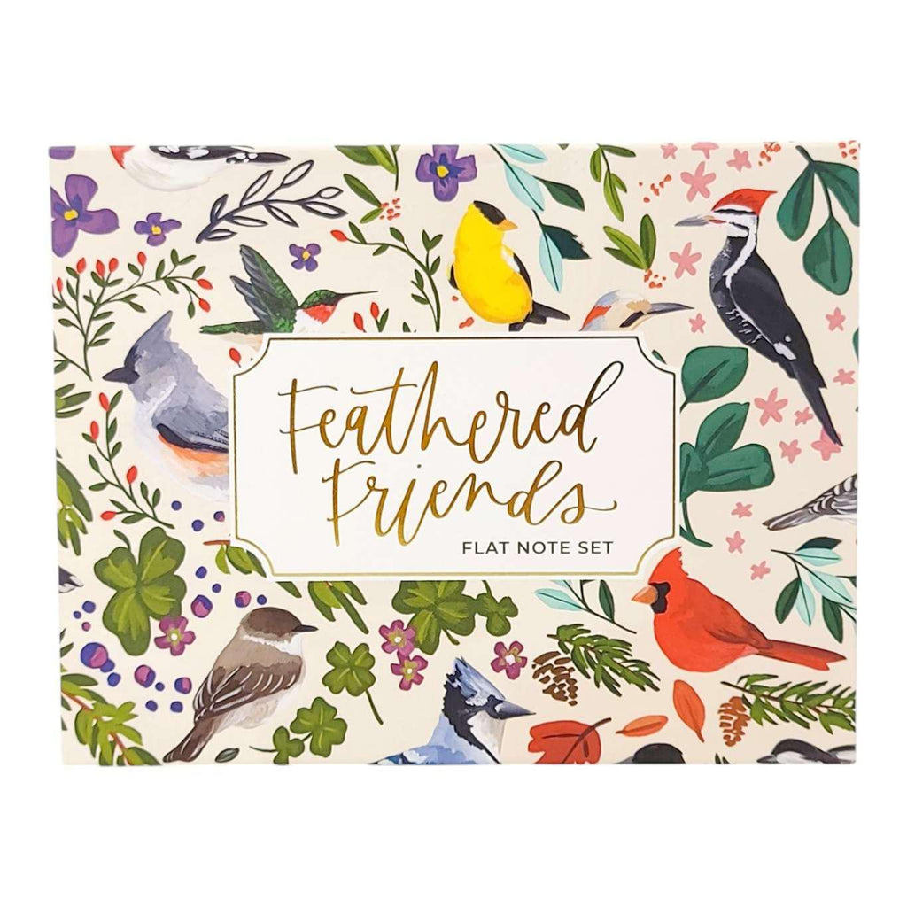 Boxed Set - Set of 20 Flat Notes - Feathered Friends Birds by 1Canoe2