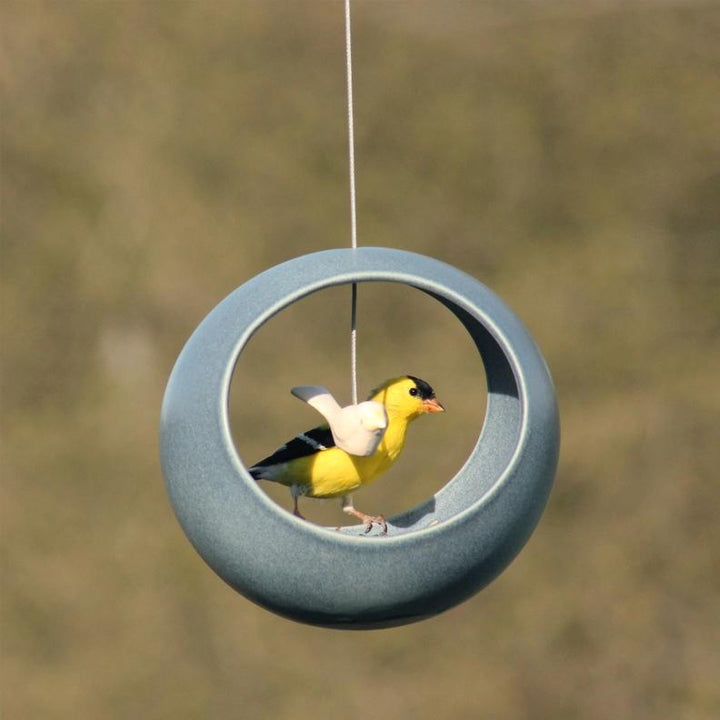 Bird Feeder - Birdie (Bluestone) by Coppa Collaborative