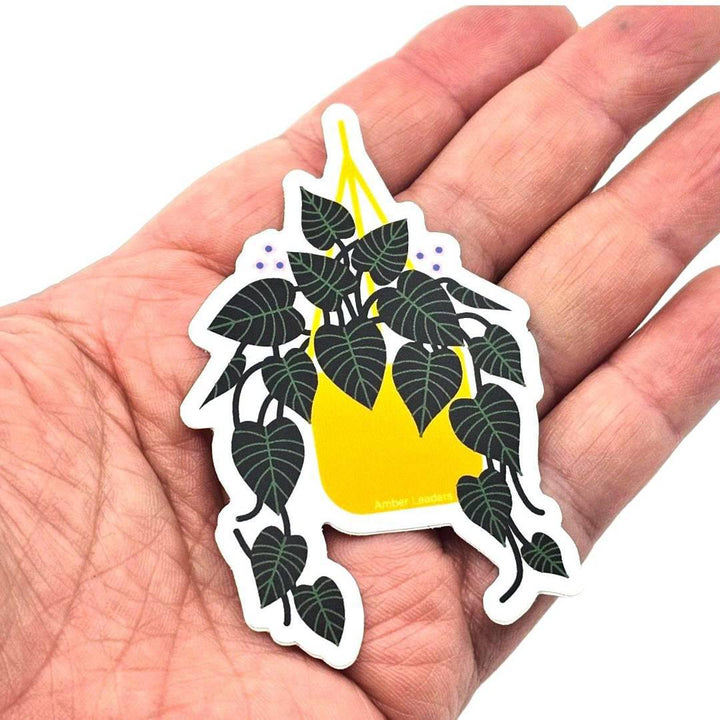 Sticker - Pothos by Amber Leaders Designs