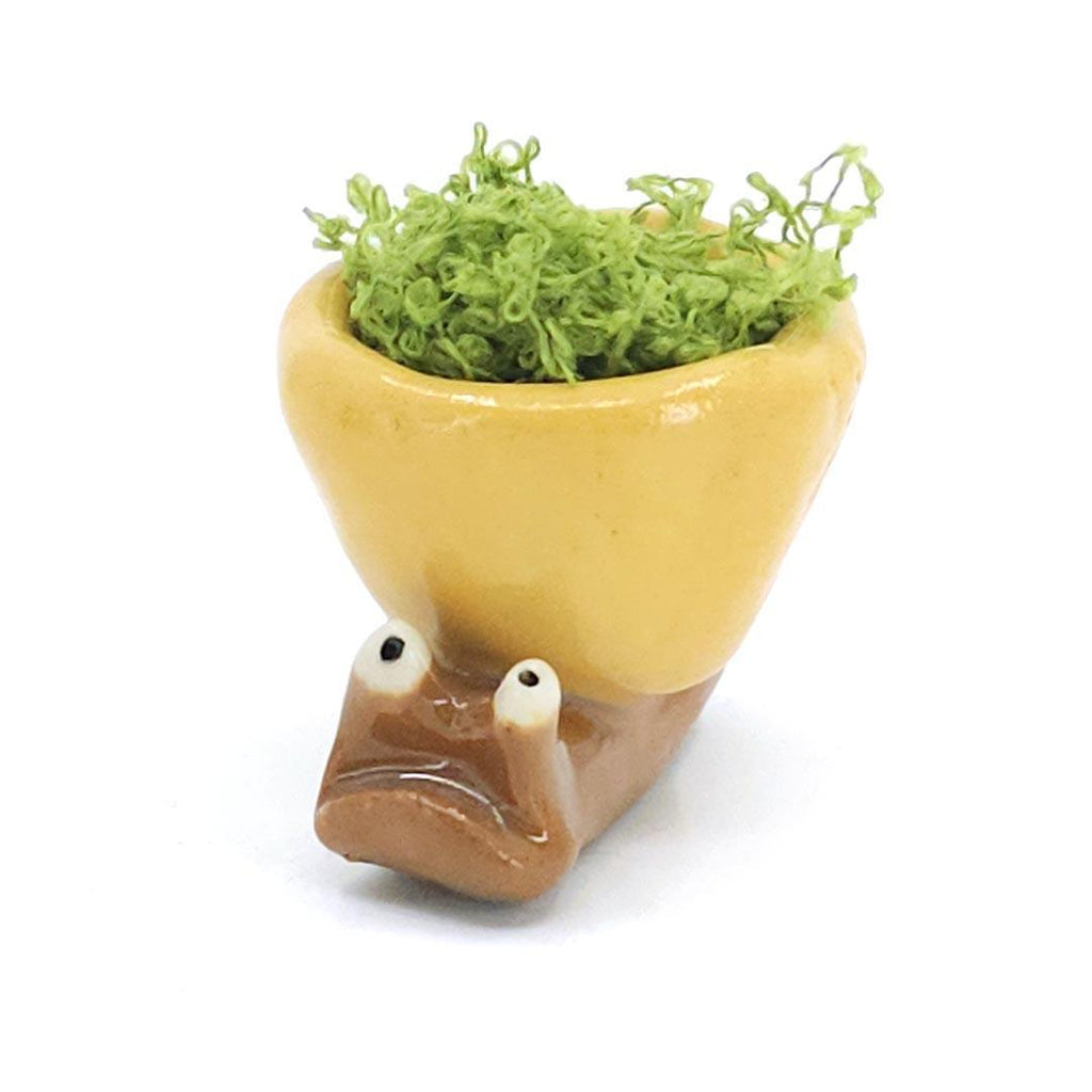 Collectible - Medium - Snail Tiny Planter  (Yellow Swirl) by Joyce Chen