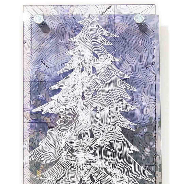 Wall Art - 6x16in - Pine Tree Mount Baker Floating Frame Map by Modern Terrain