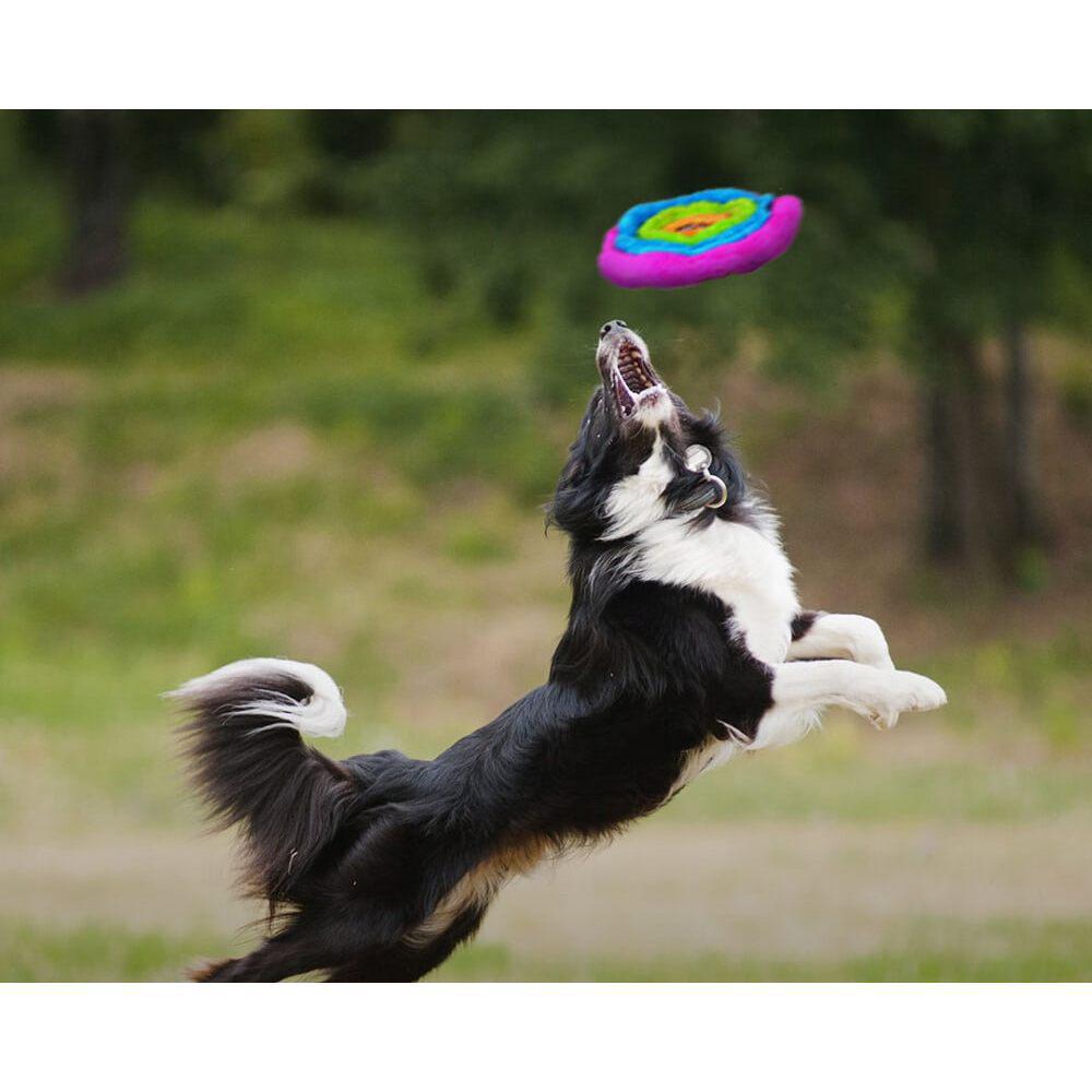 Dog Toy - Duraplush Flyer (Assorted) by Cycle Dog