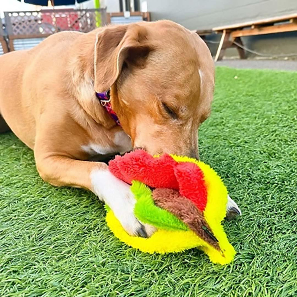 Dog Toy - Duraplush Taco by Cycle Dog