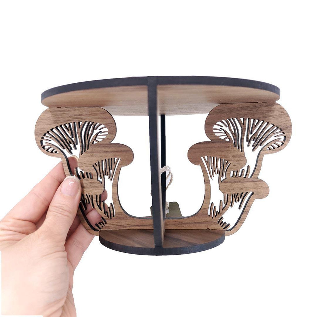 Plant Stand - Understory Mushrooms by 6 by 6 Arts