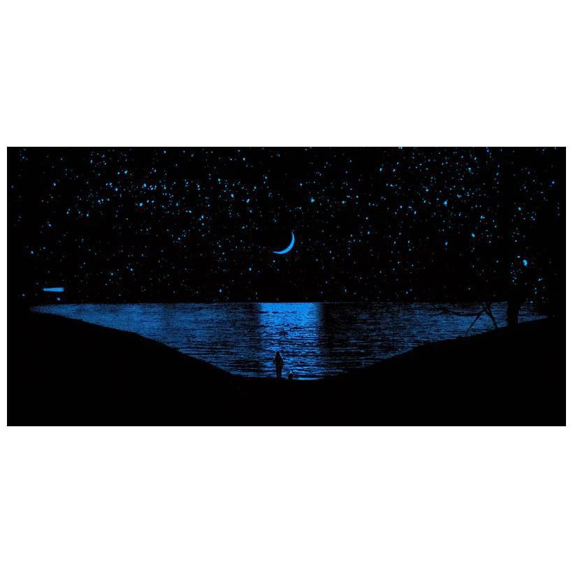 Glow in the Dark Art Prints - 24x12 - A While Away at the Lake by Arsenal Handicraft