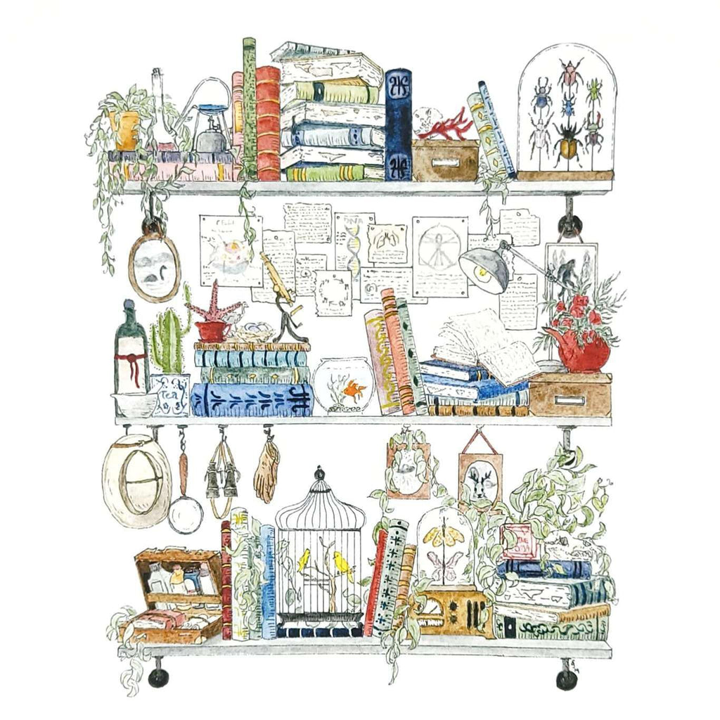 Art Print - 8x10 - The Biologist's Shelves by Lizzy Gass