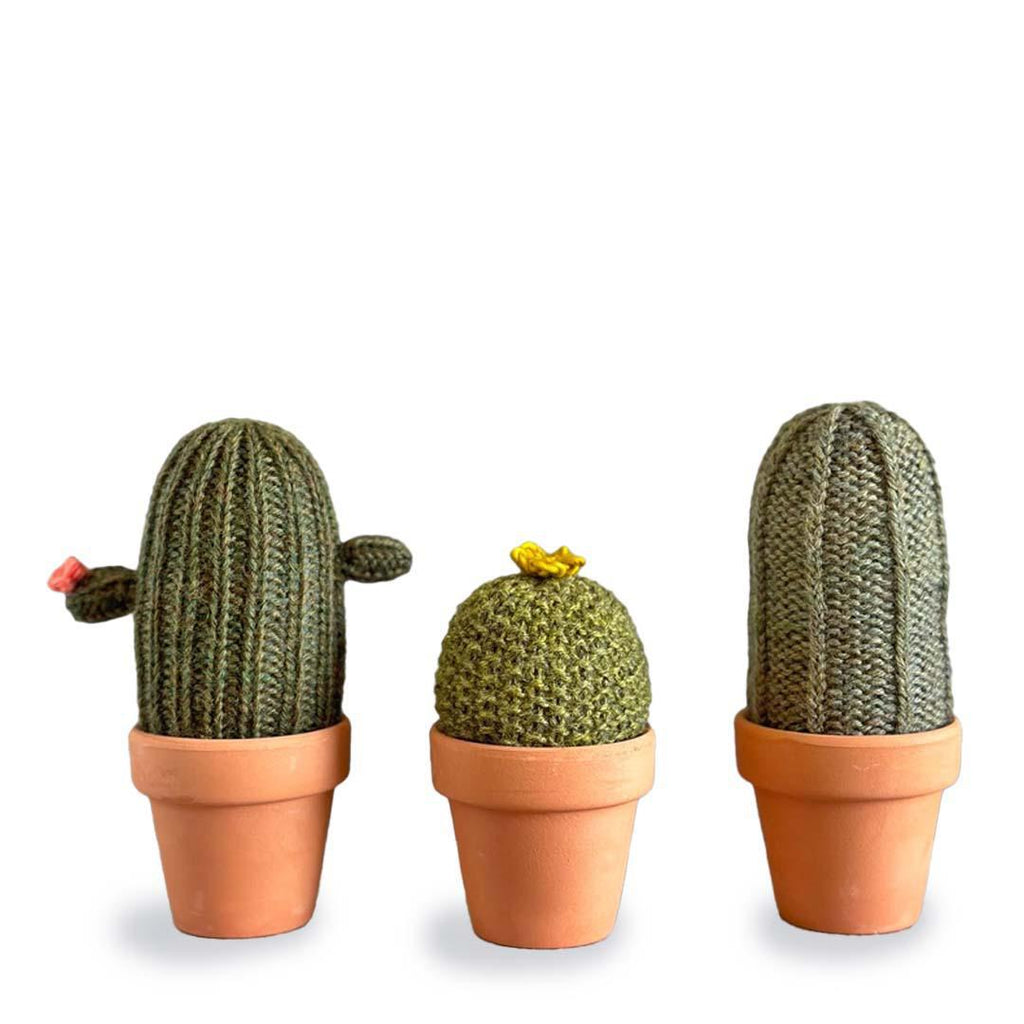 DIY Kit - Crochet A Prickle of Cactus (Set A) by eM knits