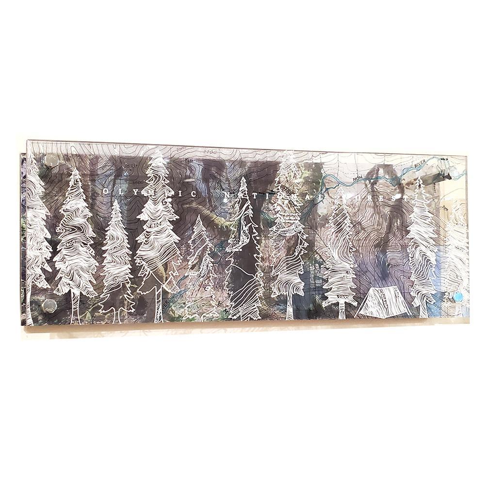 Wall Art - 16x6in - Trees and Tent Hoh Rain Forest Floating Frame Map by Modern Terrain