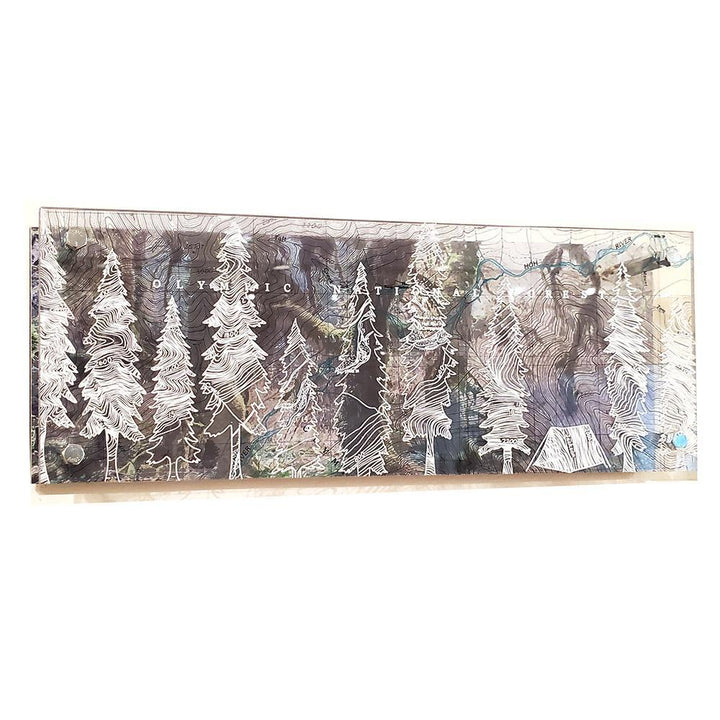 Wall Art - 16x6in - Trees and Tent Hoh Rain Forest Floating Frame Map by Modern Terrain