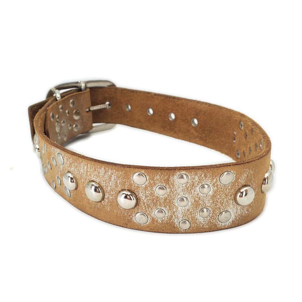 Dog Collar - M-L - Silver Studs by Greenbelts