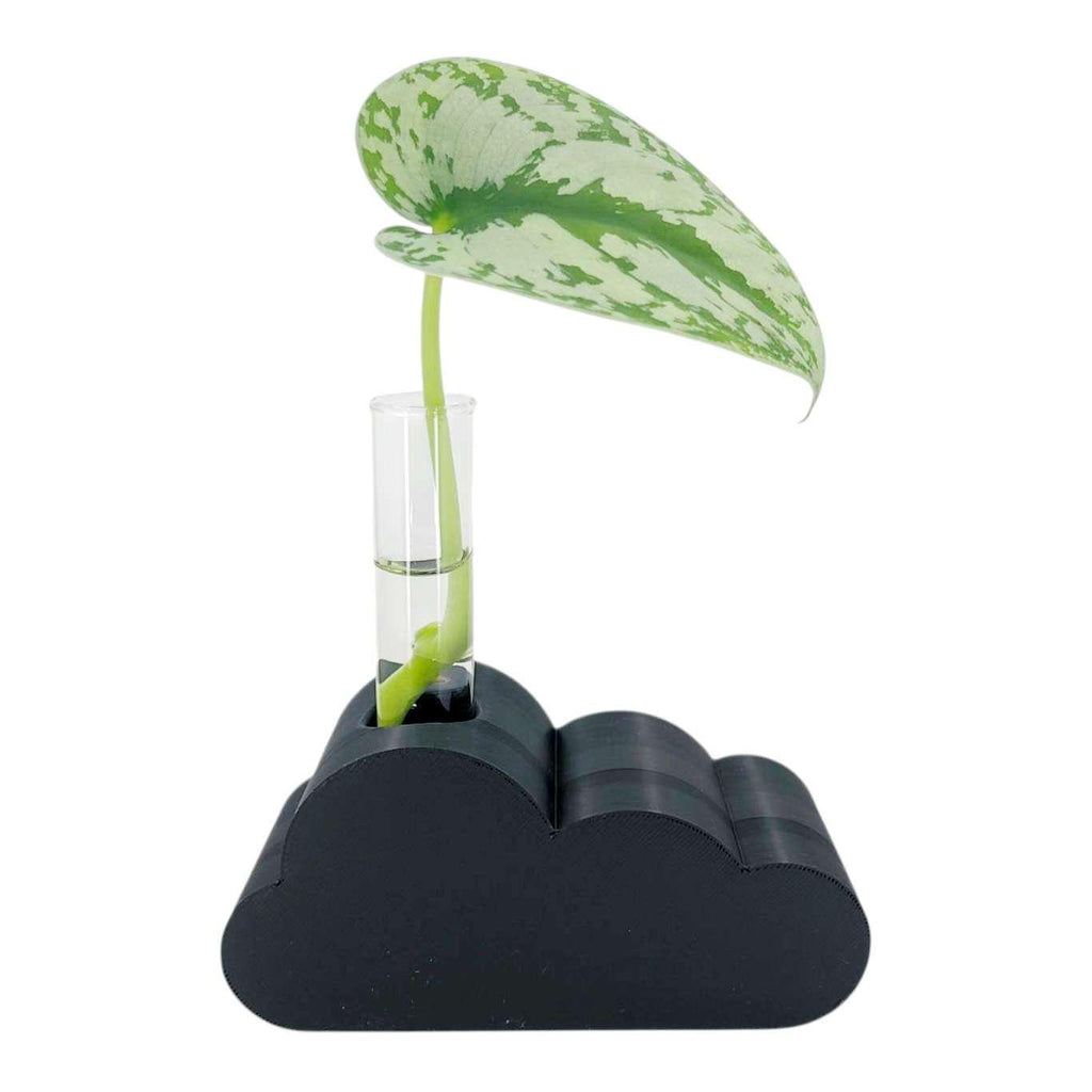 Vase - Cloud Propagation Station (Black) by Rosebud Homegoods