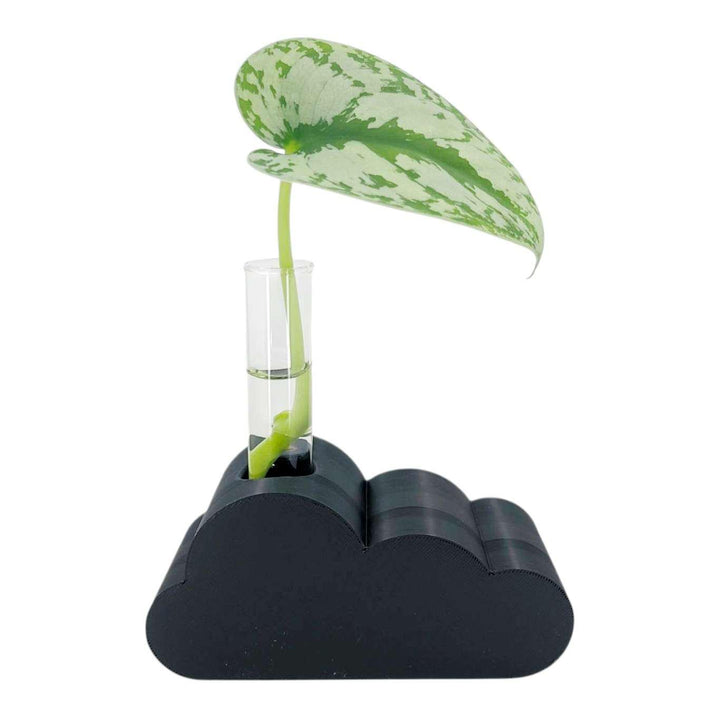Vase - Cloud Propagation Station (Black) by Rosebud Homegoods