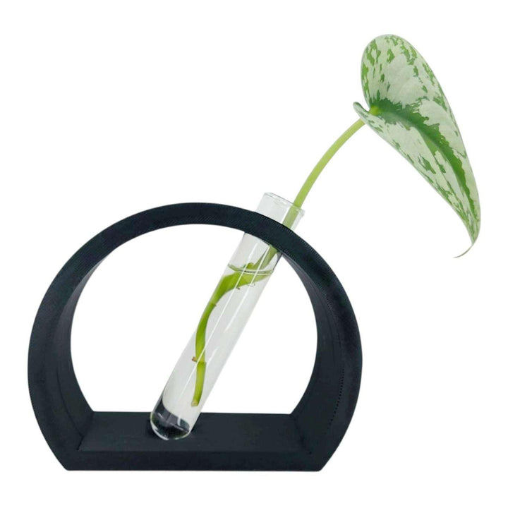 Vase - Half Moon Propagation Station (Black) by Rosebud Homegoods