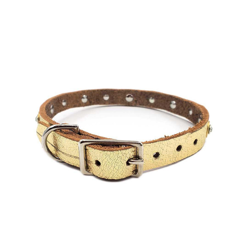 Dog Collar - M - Gold with Silver Crystals by Greenbelts