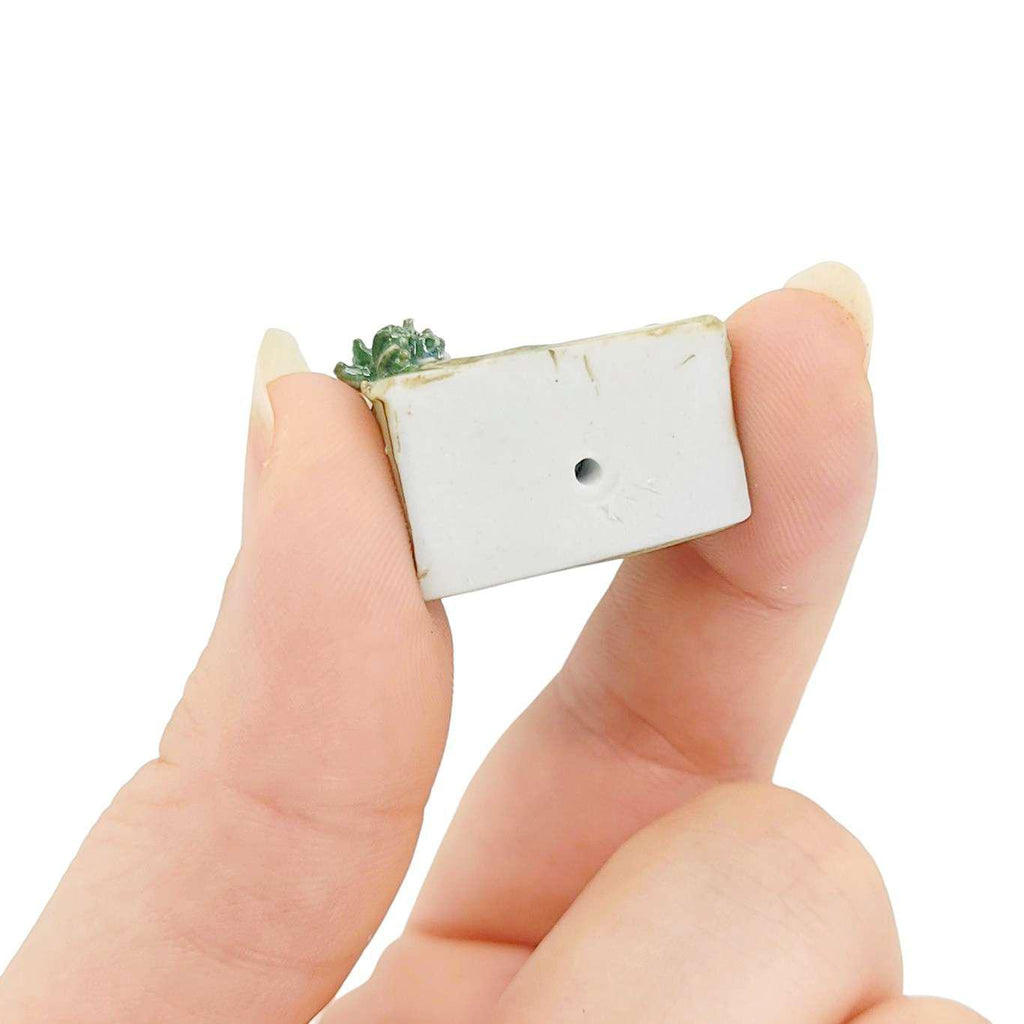 Collectible - Tiny House (Green Walls, Red Roof, Blue Door) by Mist Ceramics