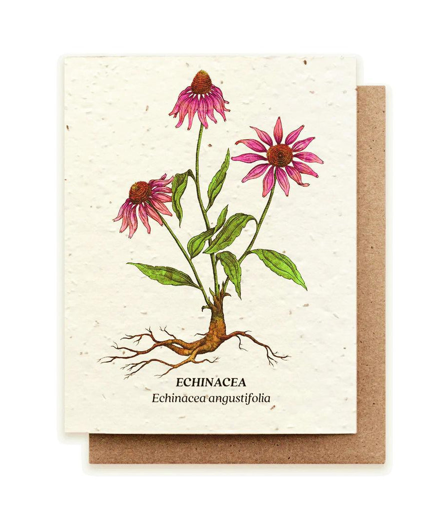 Card - Echinacea Plantable Wildflower Seed Card by Small Victories