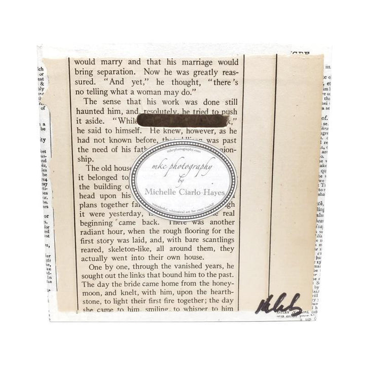 Art Block - Dreaming Garden Takes Flight by MKC Photography