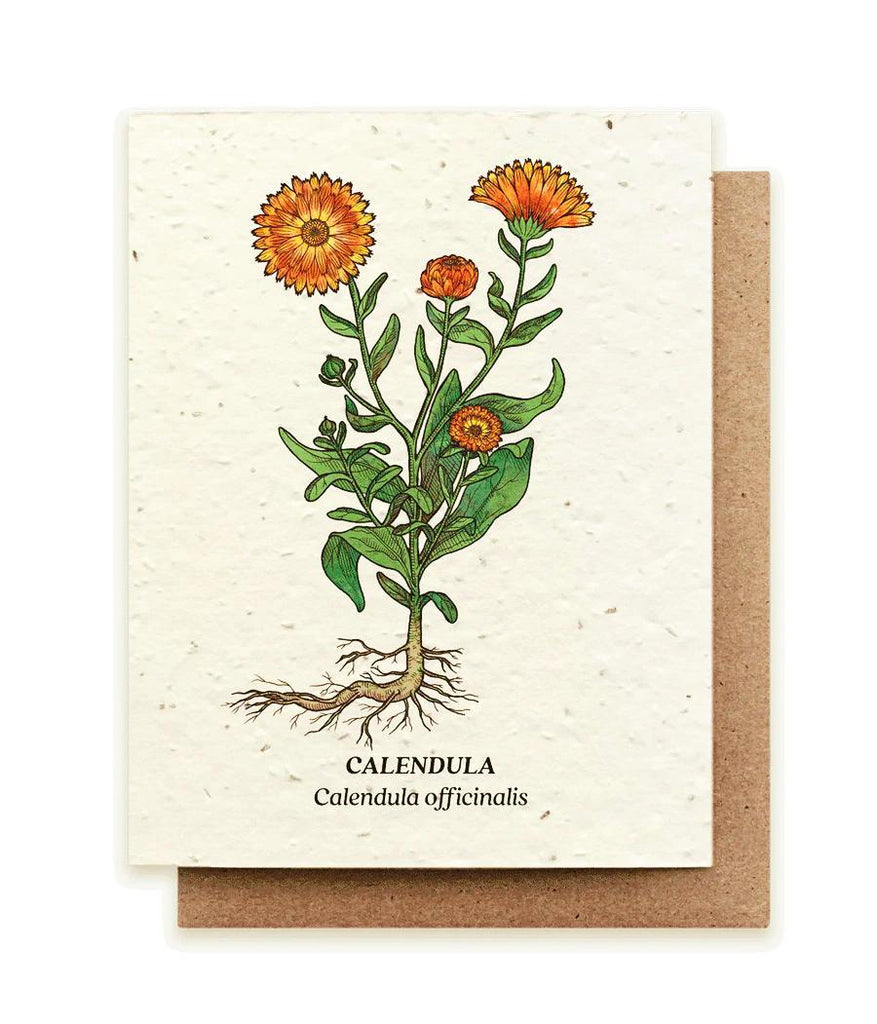 Card - Calendula Plantable Wildflower Seed Card by Small Victories