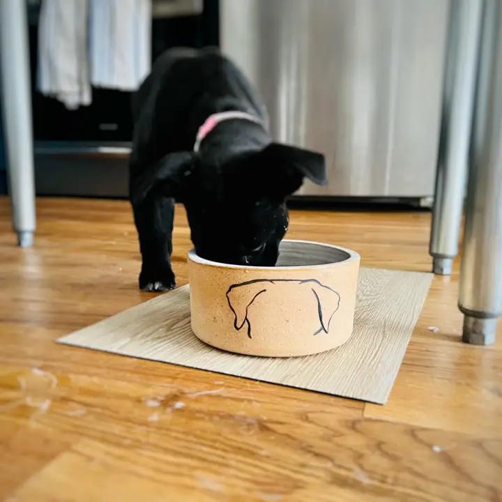 Pet Bowl - Mod Dog (Ceramic) by Hands On Ceramics