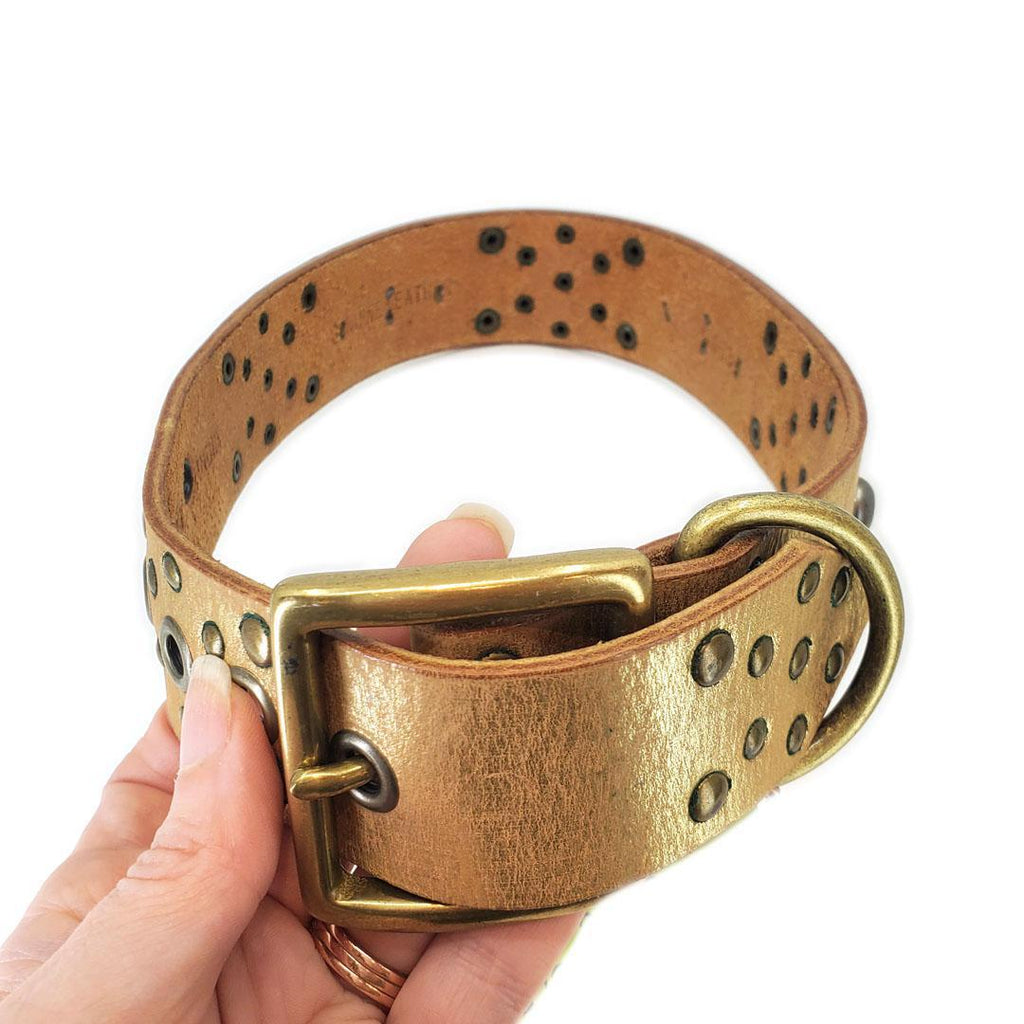 Dog Collar - M-L - Gold Studs by Greenbelts