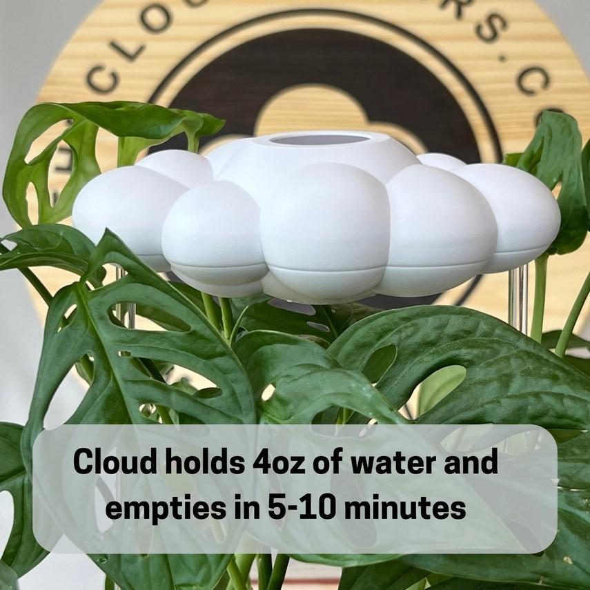 Plant Waterer - Original White Dripping Rain Cloud by The Cloud Makers