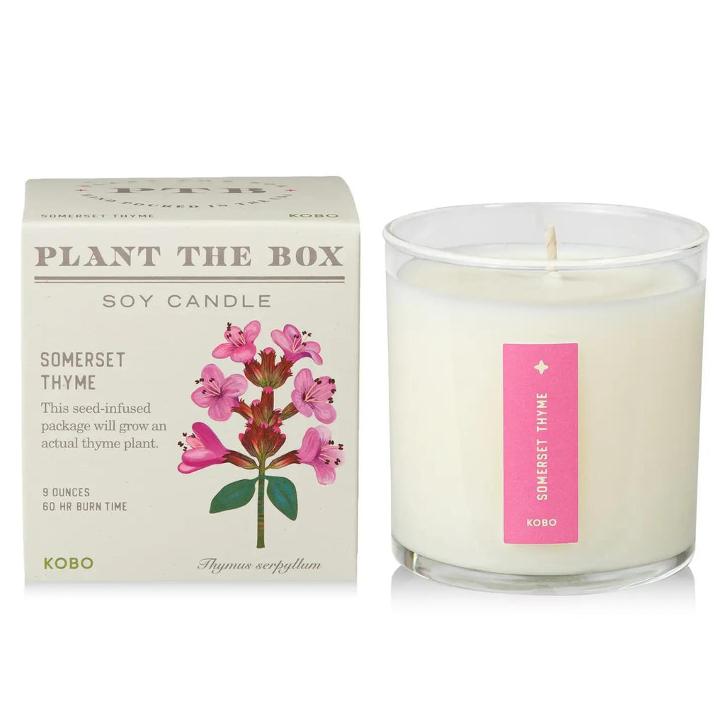 Candle - Somerset Thyme with Plantable Box by KOBO
