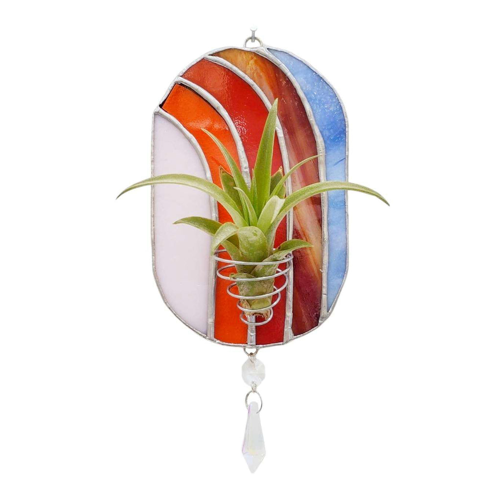 Wall Art - Oval (Reds) Airplant Holder By Kokoro Designs